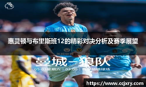 惠灵顿与布里斯班12的精彩对决分析及赛季展望